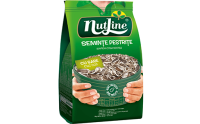 SEMINTE