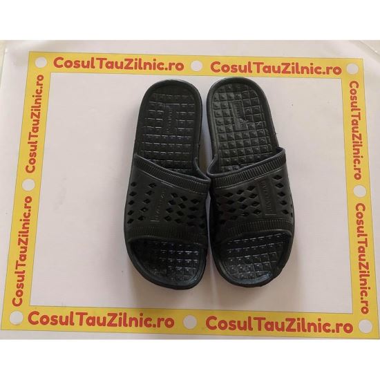 PAPUCI BARBATI(12)