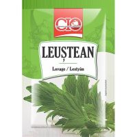 LEUSTEAN CIO 6G (20)