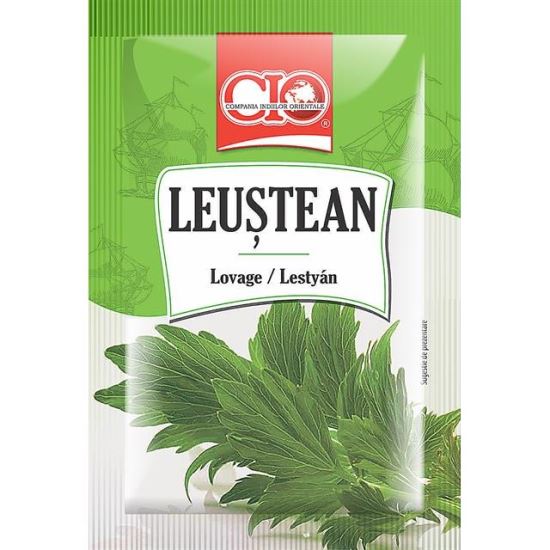 LEUSTEAN CIO 6G (20)