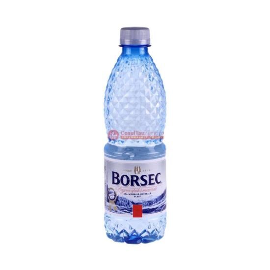 APA PLATA BORSEC 0.5L(12) SGR