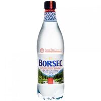 APA MINERALA BORSEC 0,5L(12) SGR