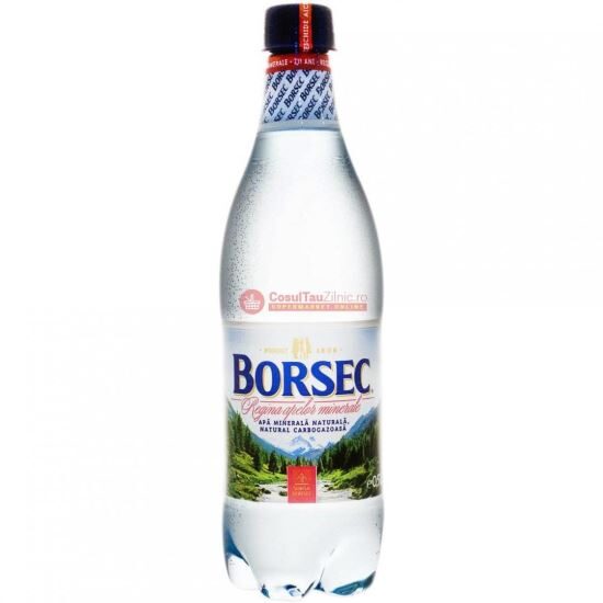 APA MINERALA BORSEC 0,5L(12) SGR