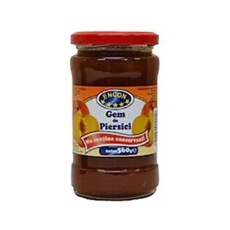 GEM PIERSICI ENCON 314G (12)