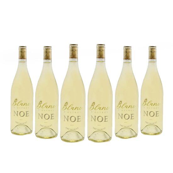 VIN NOE DRY MUSCAT DS 0.75  OSTROV (6)