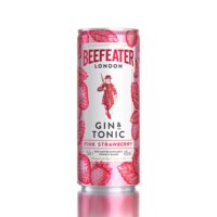 BEEFEATER MIX GIN TONIC CAPSUNI 4.9% SGR 0.25L (4)