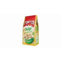 FULGI MULTICEREALE 500G FORTZA