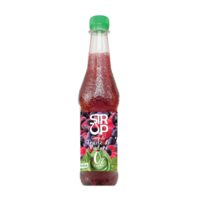 SIROP DE FRUCTE DE PADURE 0.5 L(12) VITALIQUE
