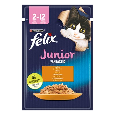 HRANA PENTRU PISICI CU PUI FELIX FANTASTIC JUNIOR 85G