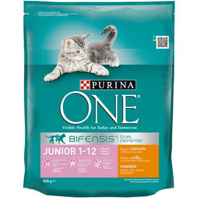 HRANA PENTRU PISICI CU PUI PURINA ONE 800G