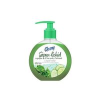 SAPUN LICHID CLEANY 500ML(6) CASTRAVETE
