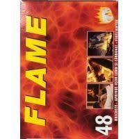 PASTILE PENTRU APRINS FOCUL 48BUC/SET(26)