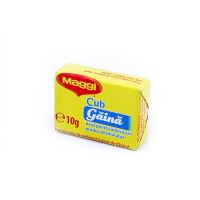 CUB MAGGI 10G (48)
