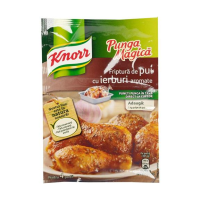 KNORR PUNGA MAGICA PENTRU PUI IERBURI 25G
