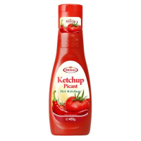 REGAL KETCHUP PICANT 450G