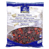 METRO CHEF MIX FRUCTE DE PADURE CONGELATE 1KG